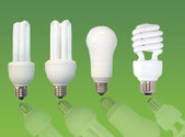 CFL Light Bulbs 